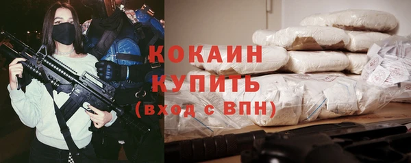 шишки Кукмор
