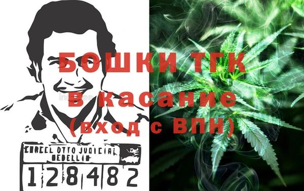 шишки Кукмор