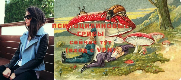 шишки Кукмор