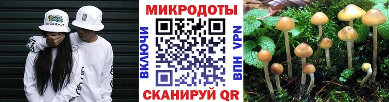 Купить закладки Большой Камень Псилоцибиновые грибы прущие грибы